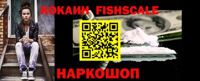 крисы Моздок