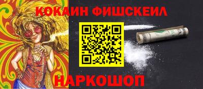 крисы Моздок