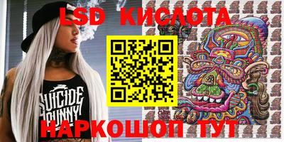 крисы Моздок