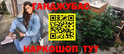 крисы Моздок