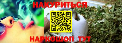 крисы Моздок