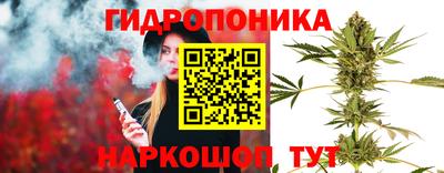 крисы Моздок
