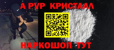 крисы Моздок