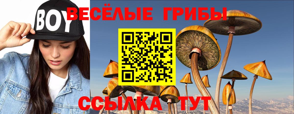 Усолье-Сибирское  Псилоцибиновые грибы Psilocybe  Галлюциногенные грибы MAGIC MUSHROOMS  Вход с VPN 