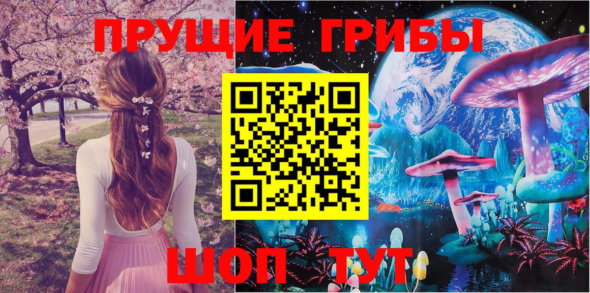 Псилоцибиновые грибы мицелий Усолье-Сибирское